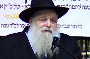 Rabbi Sholom Ber Wineberg