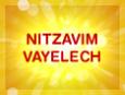 Parsha Power: Nitzavim - Vayelech
