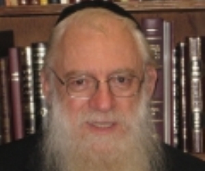 Rabbi Dr. Aharon Hersh Fried
