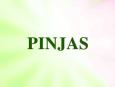 Abogados Vs. Ratones - Pinjas