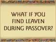 What If You Find Leaven During Passover?