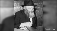 
	Curious Tales of the Talmud: Finding Personal Meaning in the Legends of our Sages

	
		
			Judaism is full of deeply resonant and transformative wisdom. Some of its most profound ideas about life, the universe, the soul, and our relationship with G-d are encrypted in an unusual place-within peculiar and nonsensical Talmudic tales