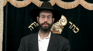 
	In this lecture, Rabbi Shmuel Bluming gives a detailed overview of the concept in kosher of mixing milk and meat products