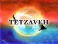 Words of the Living G-d: Tetzaveh