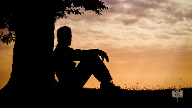 
	How to climb like a tree.