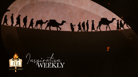 
	When beautification is divine.