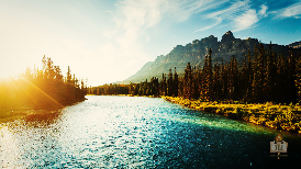 
	Are you a prisoner of habit?.