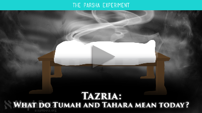 
	In Parshat Tazria, we are introduced to the concepts of Tumah and Tahara. Some translate them as cleanliness and uncleanliness, some say ritual purity and impurity, but we never seem to get a clear and relevant understanding of what they actually are