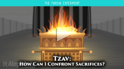 Tzav Videos