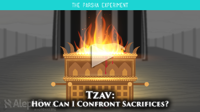 
	How can I, a modern day reader of the Torah, understand and relate to the concept of animal sacrifices, Korbanot? The ritual seems completely antiquated and barbaric to us today. And yet, Korbanot were a staple of Israel's service to God