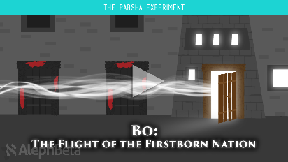 
	In Parshat Bo (Exodus 10:1-13:16) we're finally freed from years of slavery! Mazal Tov! But before we get to the triumphant splitting of the sea, we read a whole section of laws relating to firstborn children and animals. Wait, what?! Can’t this wait until we're across the Sea?? Whats the deal with these laws and what can they teach us about the true meaning of the Exodus?.