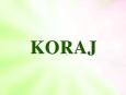 ¡Viva la Discriminación! Koraj