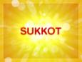 Parsha Power: Special Edition - Sukkot