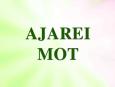 El Pecado que es la Espiritualidad Ajarei Mot