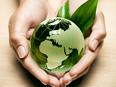 The Jewish Approach to the Environment